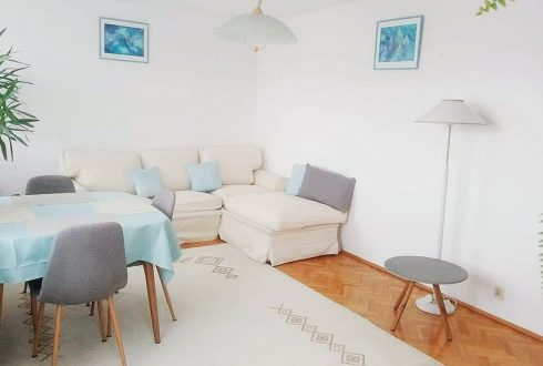 Белые стены. Что нужно знать, прежде чем красить?