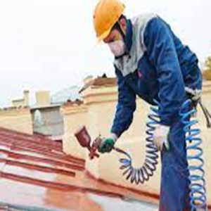 Сделаем покраску крыши